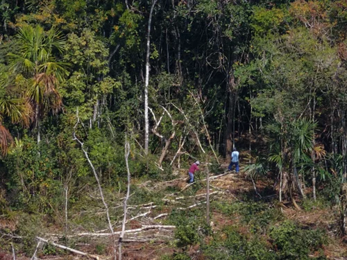 GC-Provided Drone for Calakmul, Mexico Patrols Starts Producing